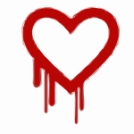 21 - Heartbleed